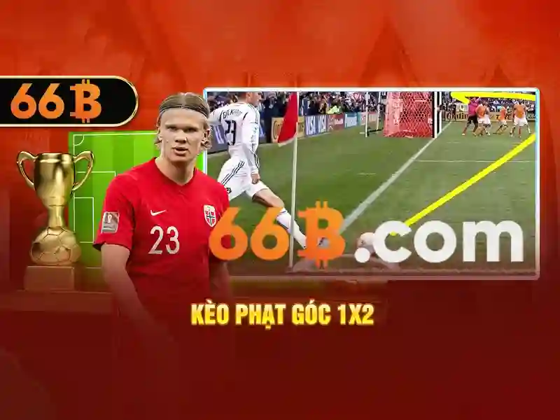 66b là gì?