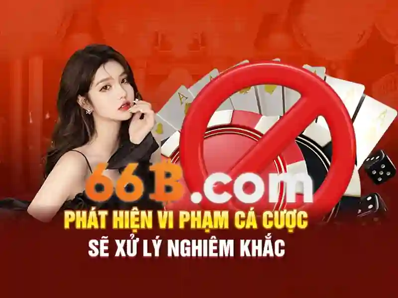 66b và những khía cạnh căn bản