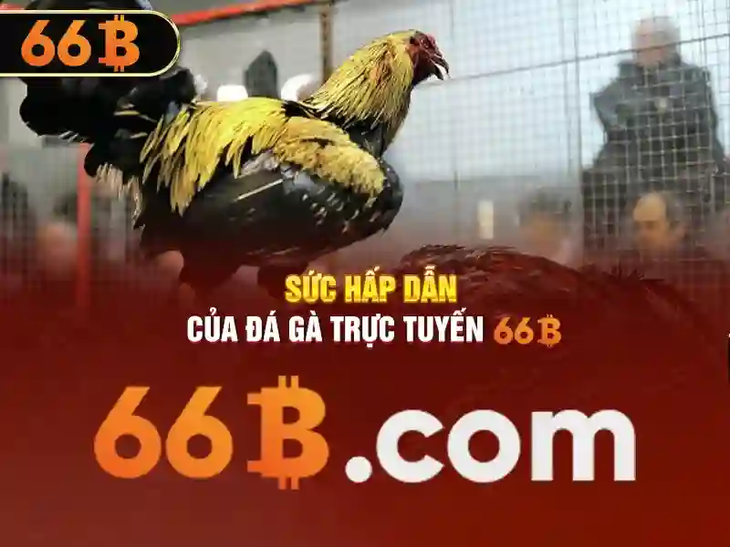 Kiến trúc và quy mô