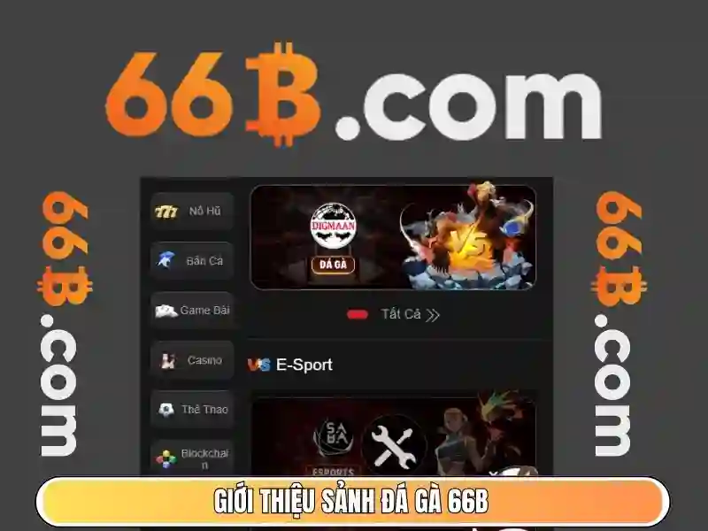 Cấu hình và kích thước của 66B