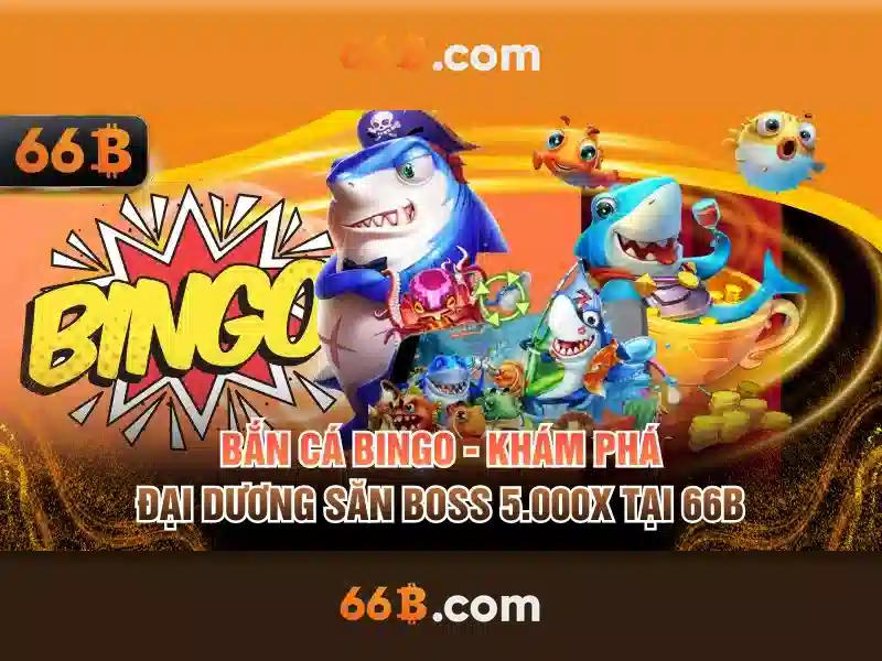 66b: khái niệm và bối cảnh