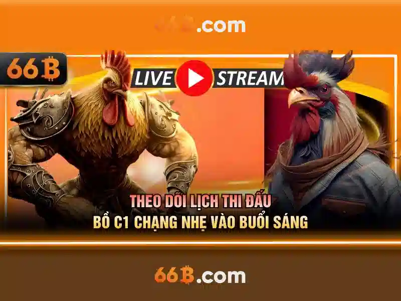 Nguồn gốc và ý nghĩa của 66b