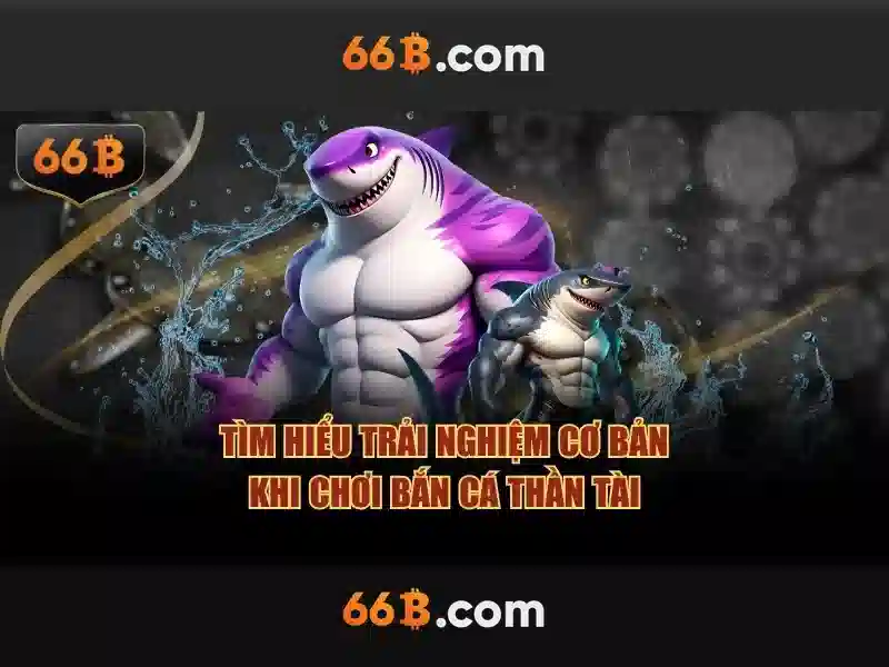 Vai trò của 66b trong công nghệ hiện đại
