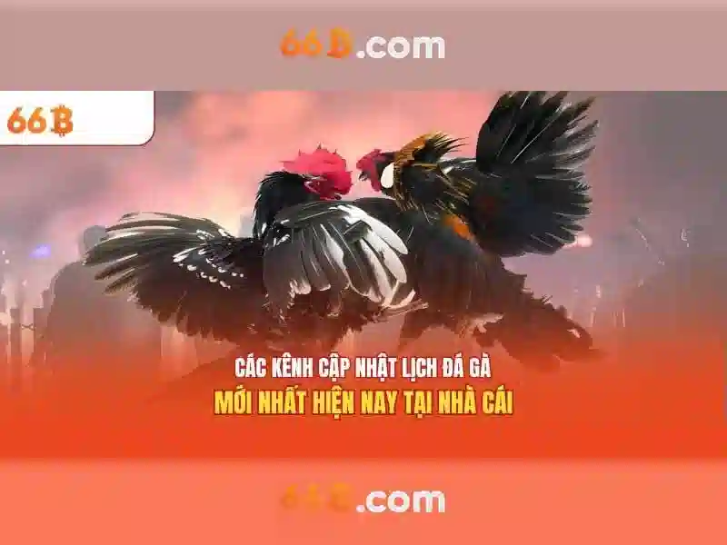 Kiến trúc và đặc điểm