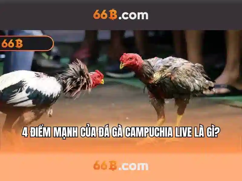 Thách thức và cơ hội