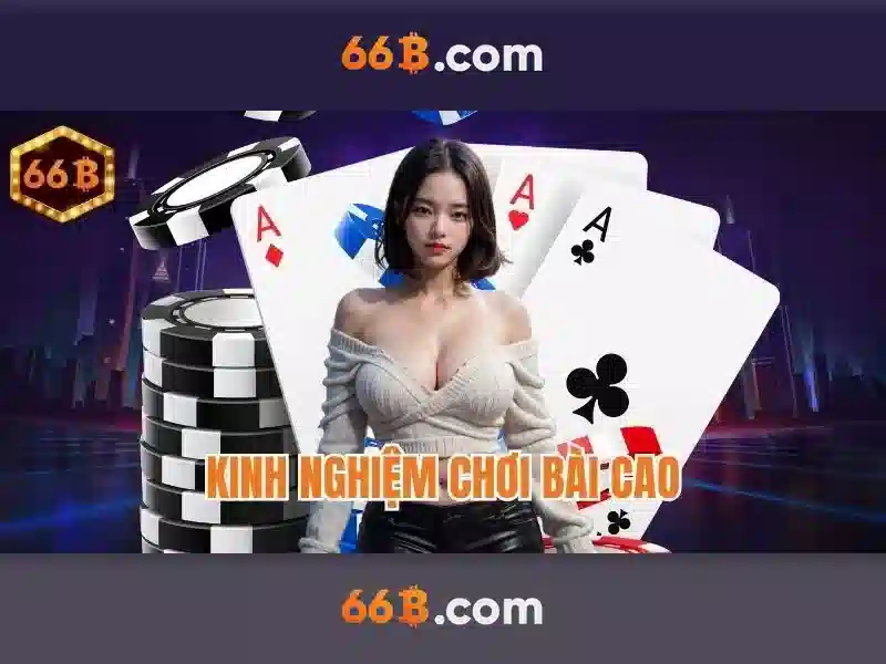 Hiệu suất và tối ưu hóa