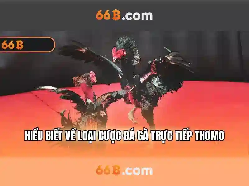 Biểu đồ cược và khuyến mãi