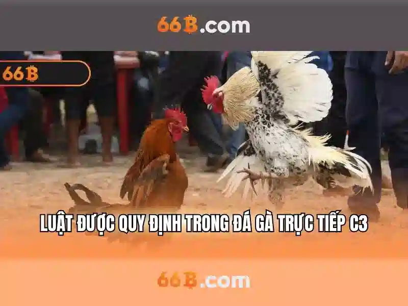Các đặc trưng của 66B
