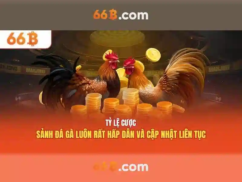 Giới thiệu về 66B