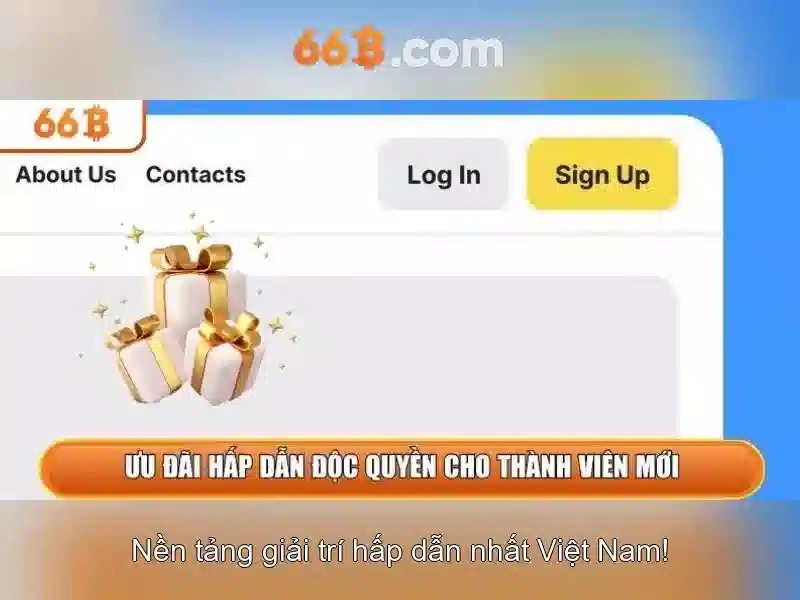 66b và sự tò mò về nó