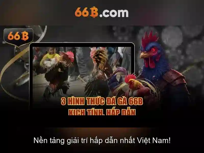 Giới thiệu về 66B