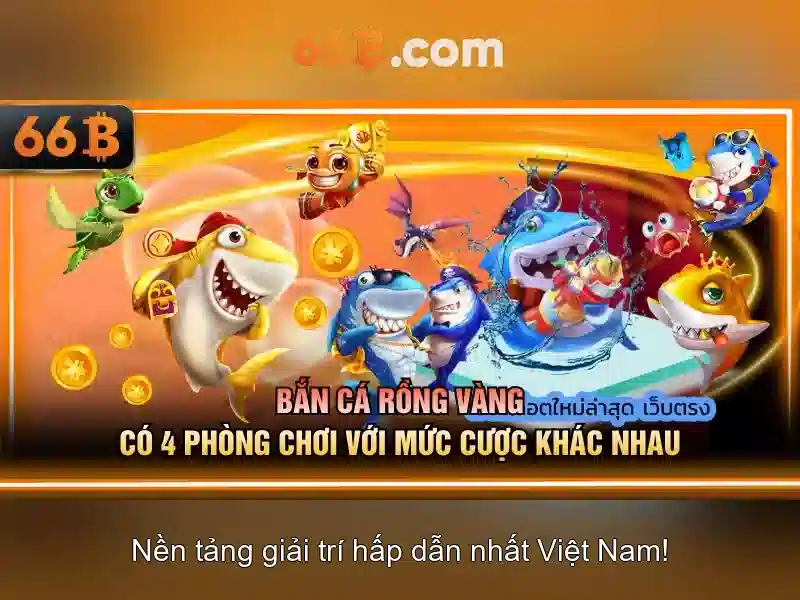 Quy mô và đặc điểm