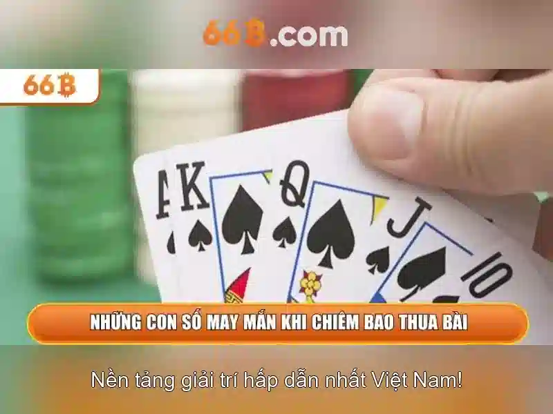 Đánh giá và cân nhắc