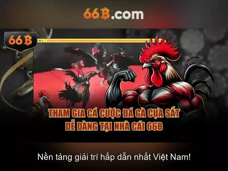 Cấu trúc và quy mô