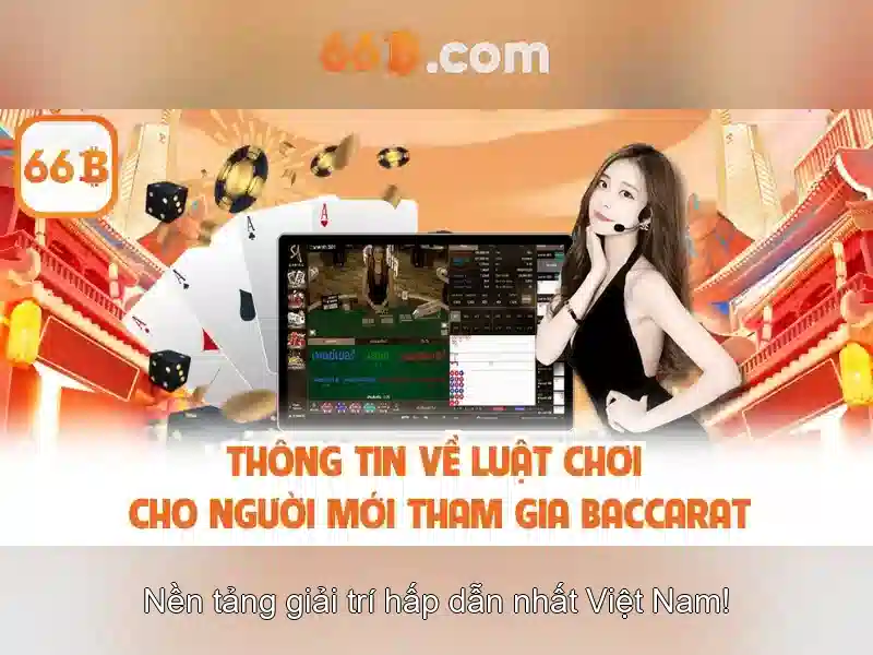 Đặc điểm nổi bật của 66b