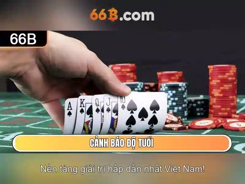66b là gì?