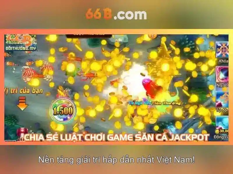 66b là gì?