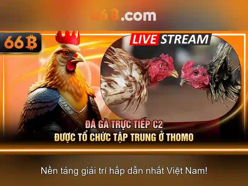 Ứng dụng và thách thức của 66B