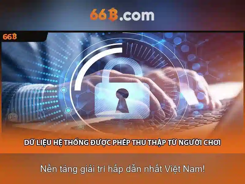 Cấu trúc và quy mô