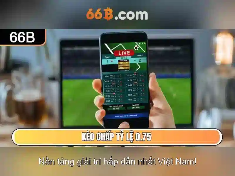 Kích thước và khả năng của 66B