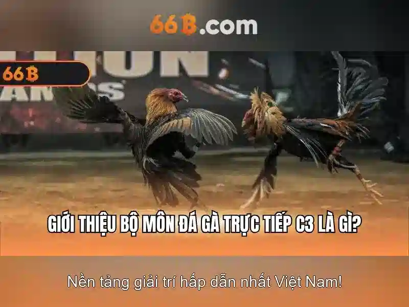 co-che-thuc-thi
