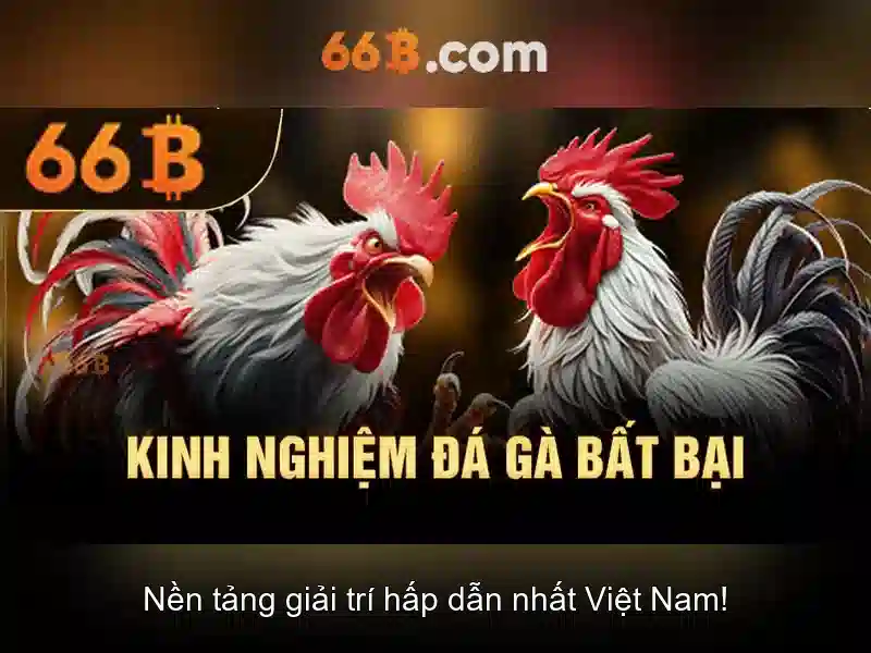 Kiến trúc của 66B