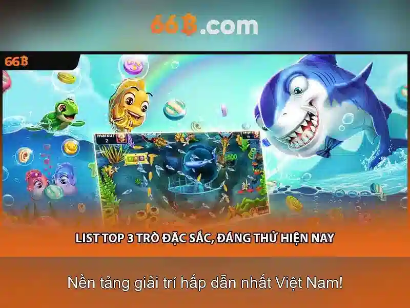 Kết luận về 66b