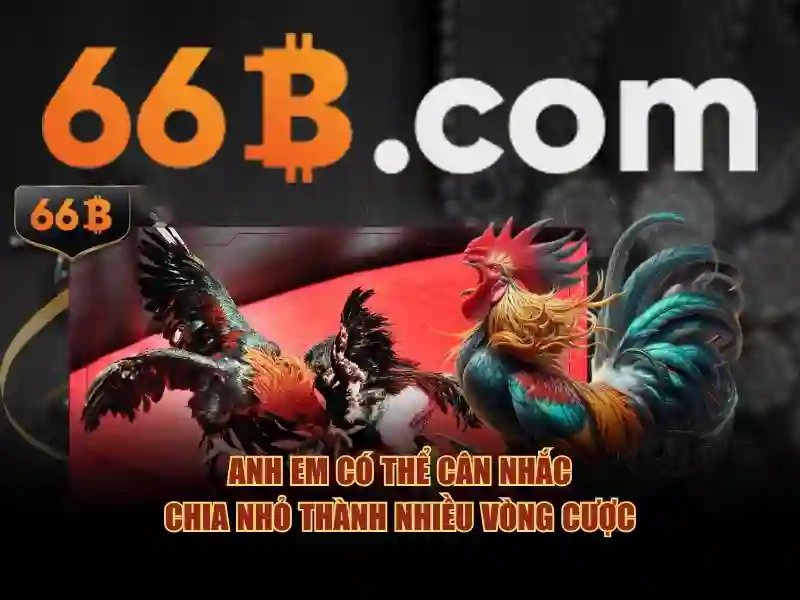 Kiến trúc và tham số của 66B