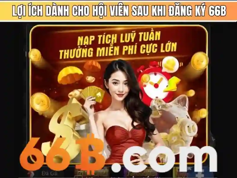 Đặc điểm kỹ thuật của 66B