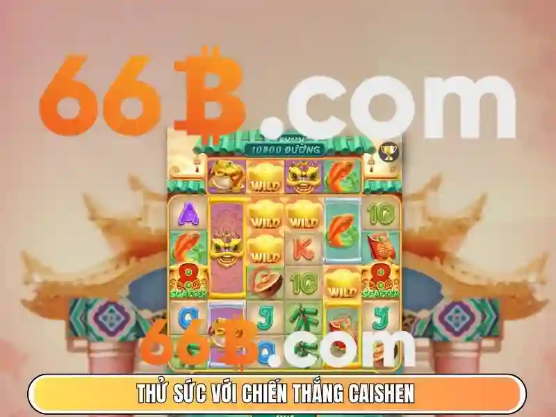 66b trong công nghệ và dữ liệu