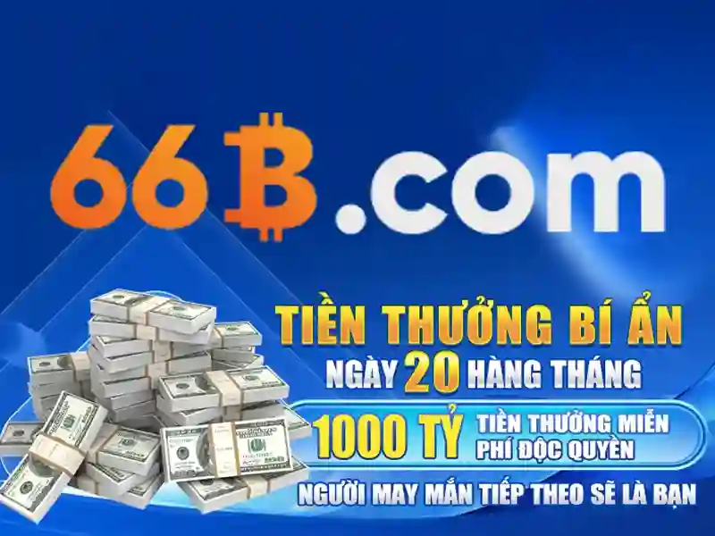 66B là gì?