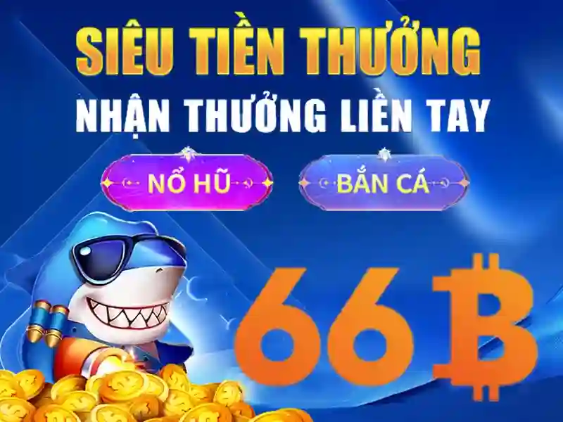 66b – một mã, một câu chuyện